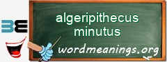 WordMeaning blackboard for algeripithecus minutus